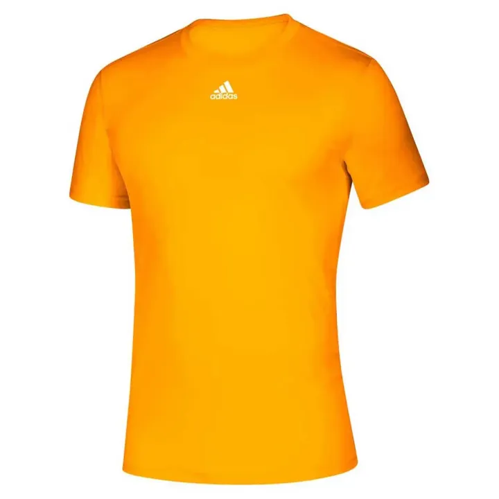 EK0081-Collegiate-Gold-F
