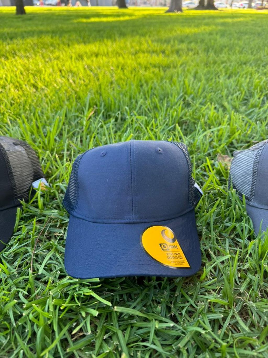 WhatsApp Image 2025-11-24 at 4.20.18 PM (1)