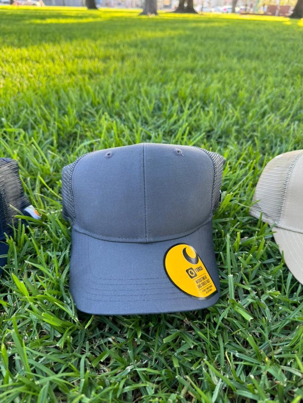 WhatsApp Image 2025-11-24 at 4.20.19 PM