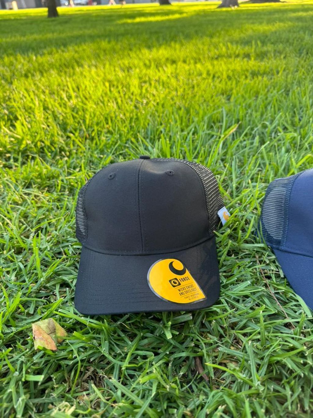 WhatsApp Image 2025-11-24 at 4.20.18 PM