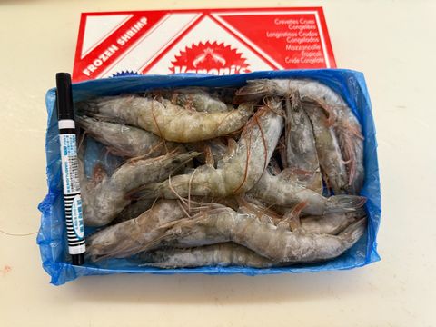 XDpS2ZY7Edlr8jj0sgKdV-u9PkHPj_9HPKpaFCwH7zrot-WdgMCvluPbUcTjwYiLa6C1h2v7tO4g4T6dGxN855_uIiBMKTYEu9ZTika9VI-mPEQ1yBAl54sCOrrrQGYbCPs1Dl06N9VAVlxHgFo47A==