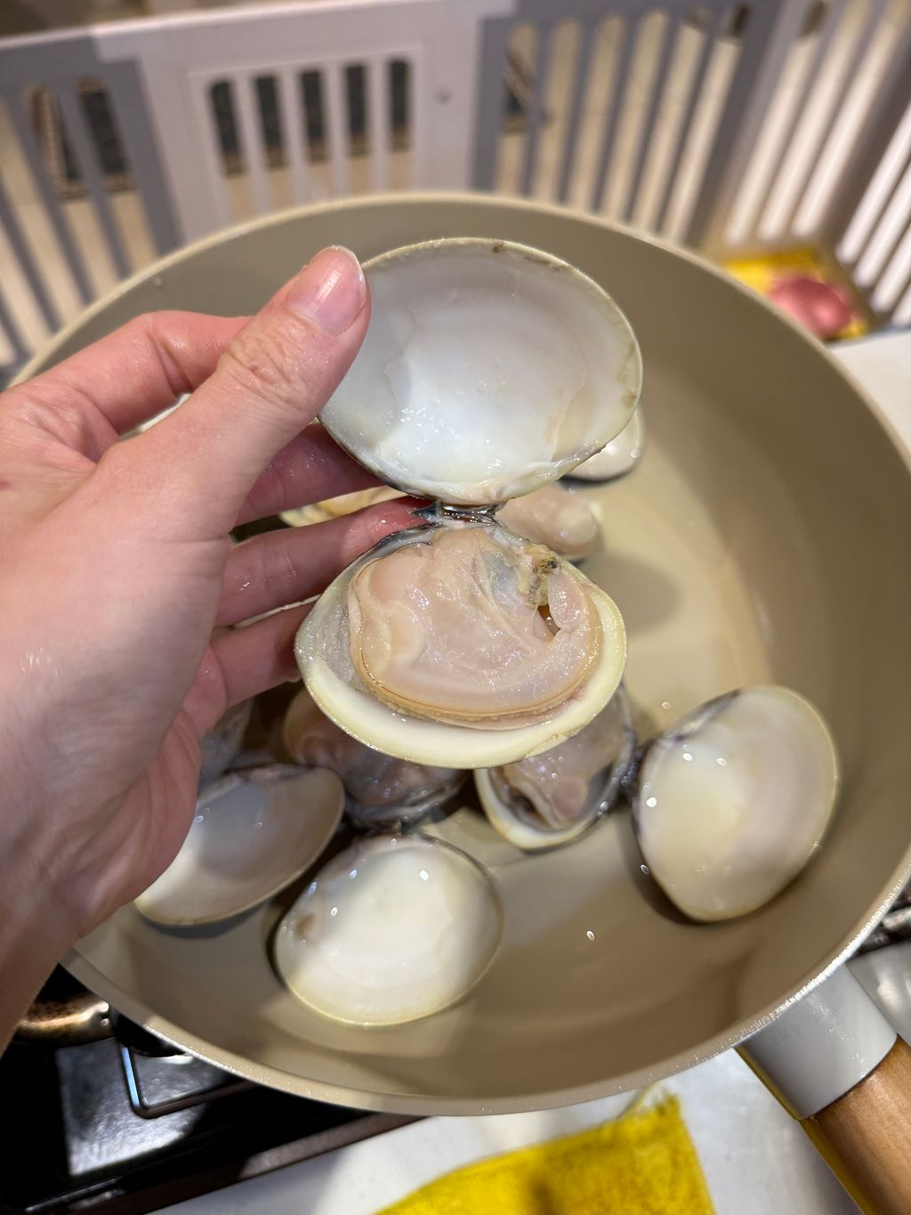 image_313B8EFA-1D15-4EAD-B7BF-940C062ED2D8_1763536945