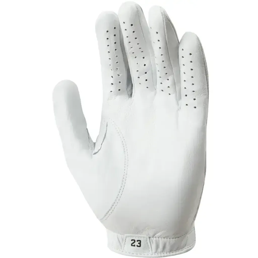 jordan glove 2
