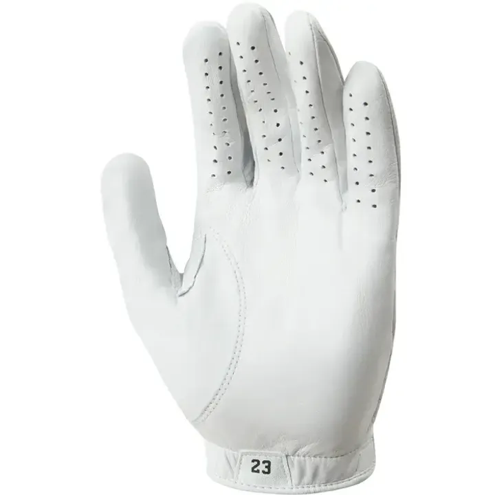 jordan glove 2