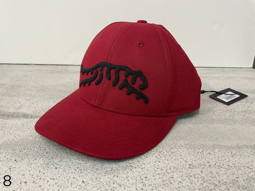 IMG_5312-1717398482498