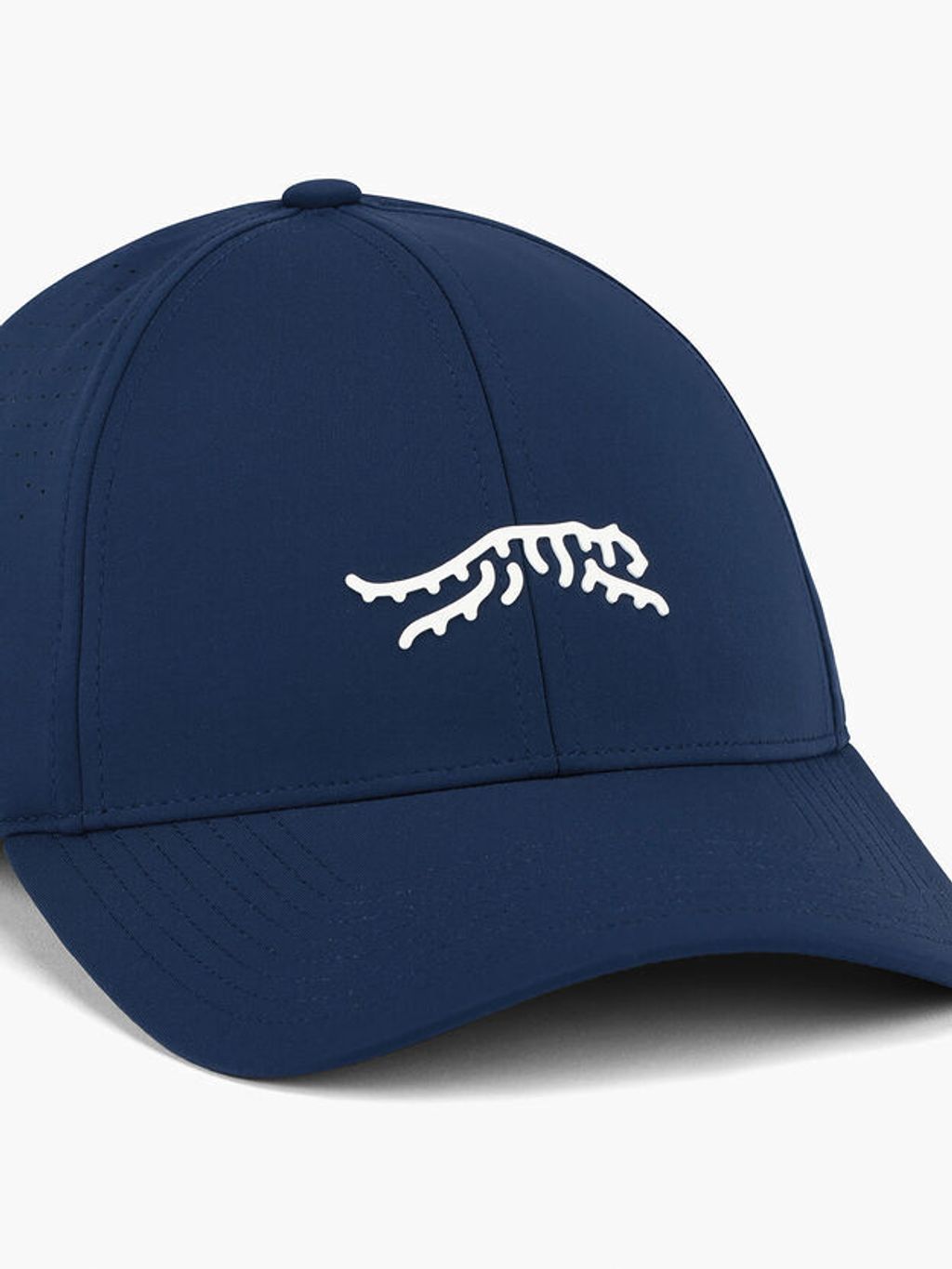 image_1E64D7E3-88B9-4162-8684-55698A23B72B_1767782167