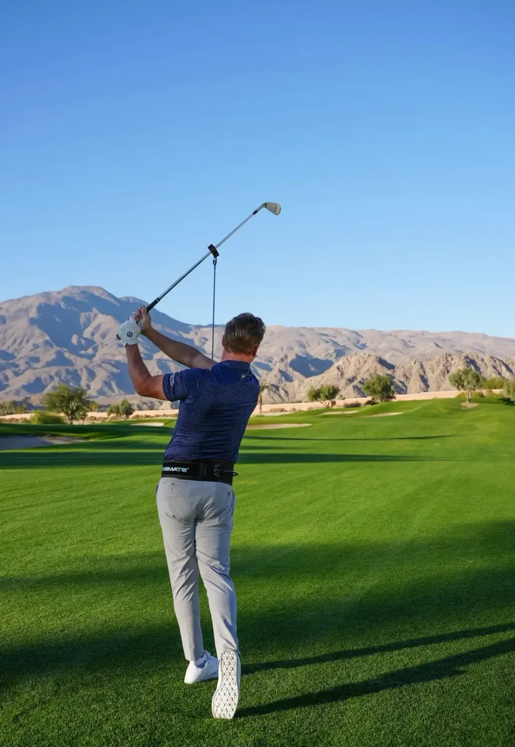 81BC7D19-69D5-4BD1-8854-089F1ED44BE3_2048x2048