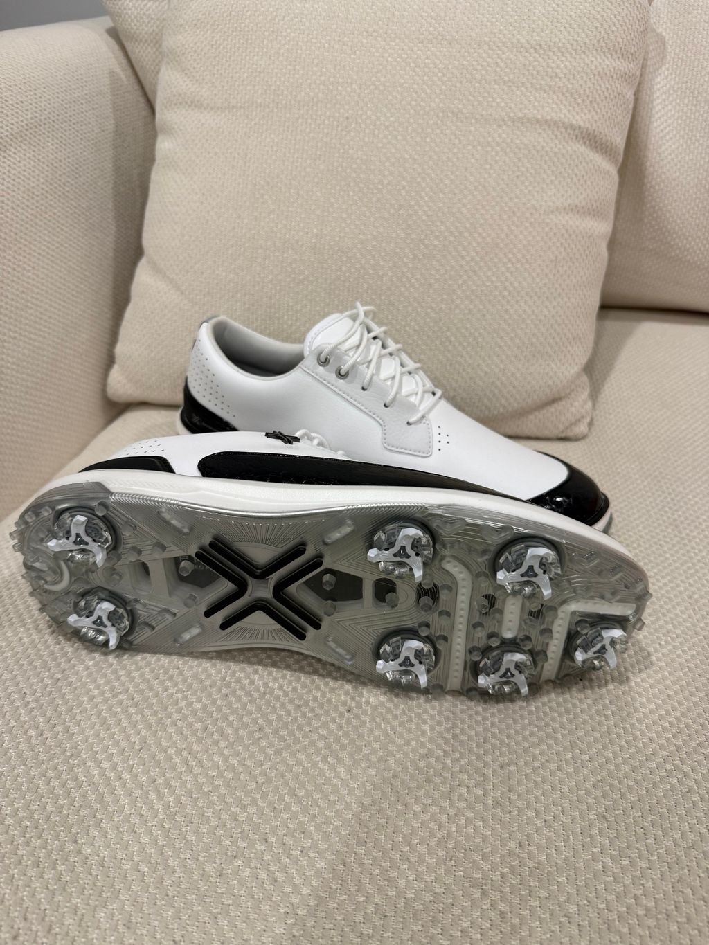 image_0AD25F57-183A-4D0B-BA1F-5D3084E688F5_1771339337