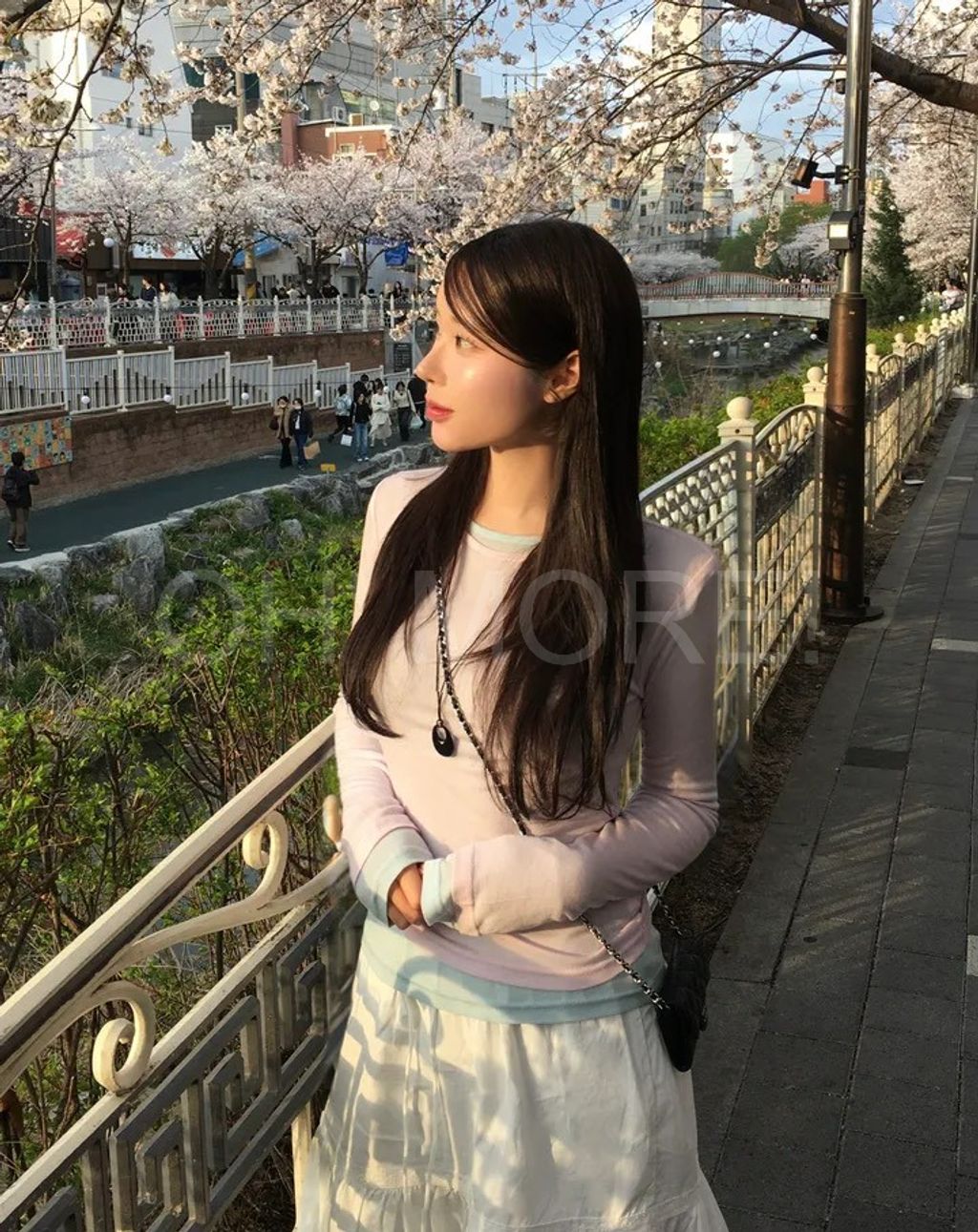 LINE_ALBUM_2026526_260526_234