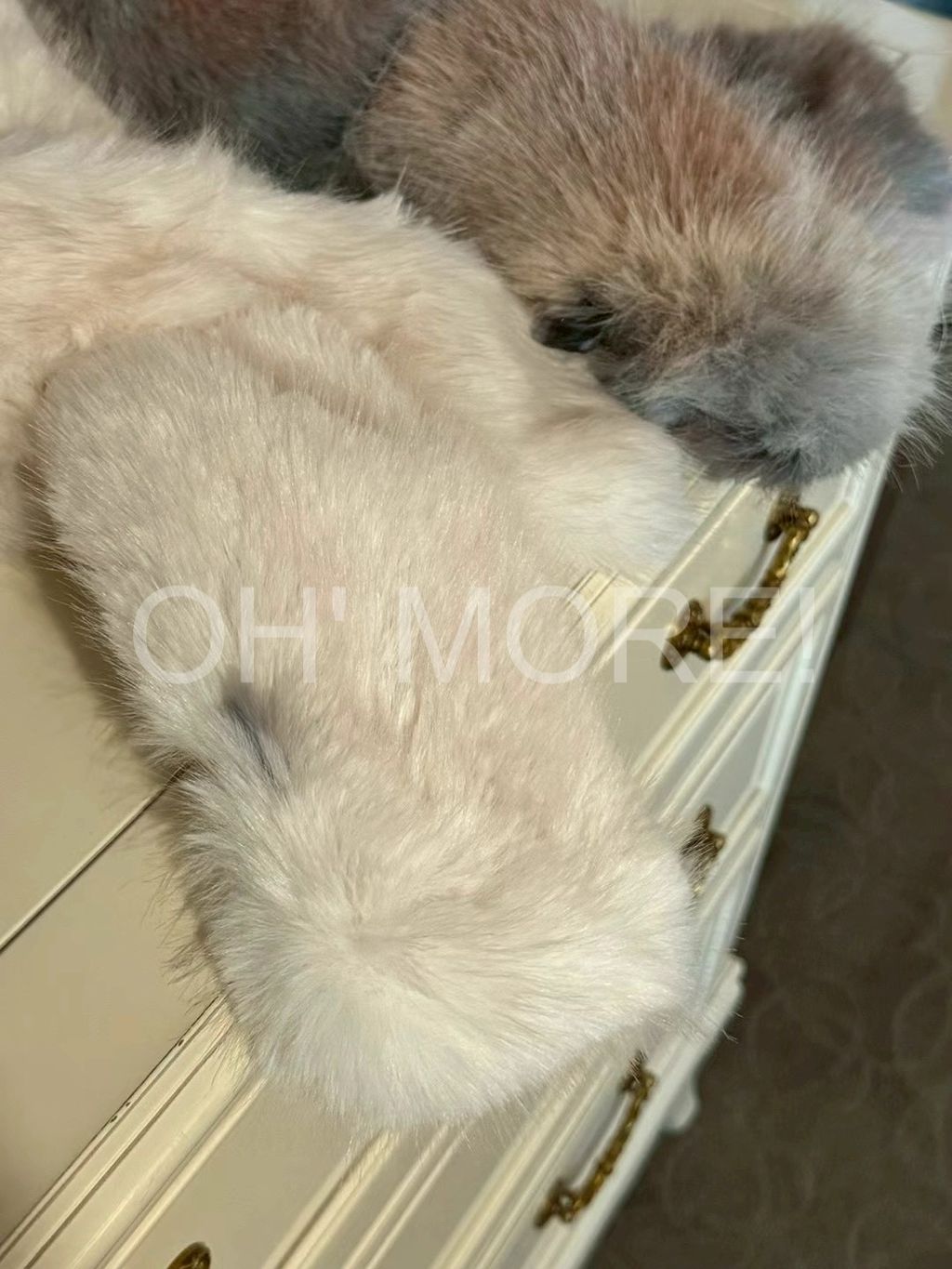 LINE_ALBUM_20251216_251217_478