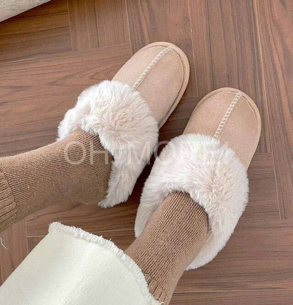 LINE_ALBUM_20251216_251217_424