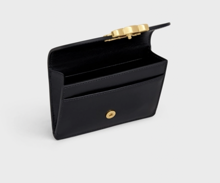 celine triomphe card holder triomphe｜TikTok Search