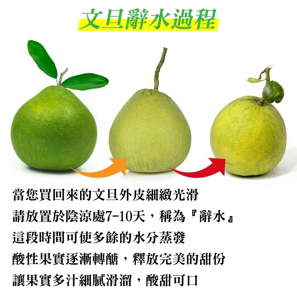 qq5