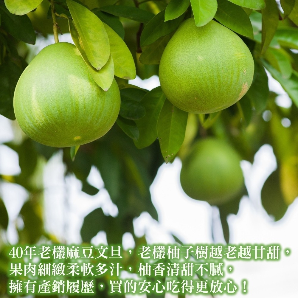 qq2