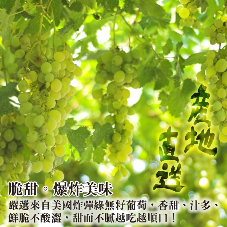 yy2