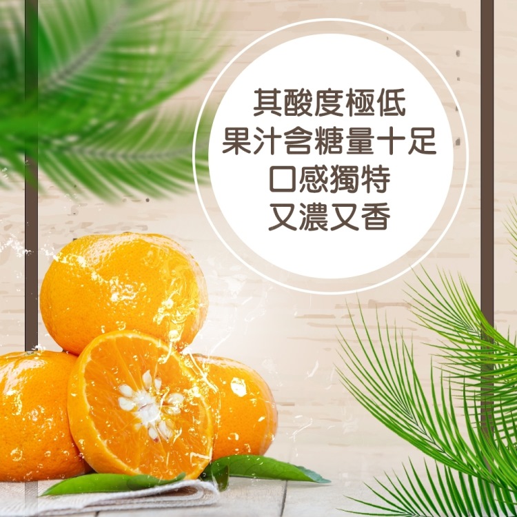 qq2