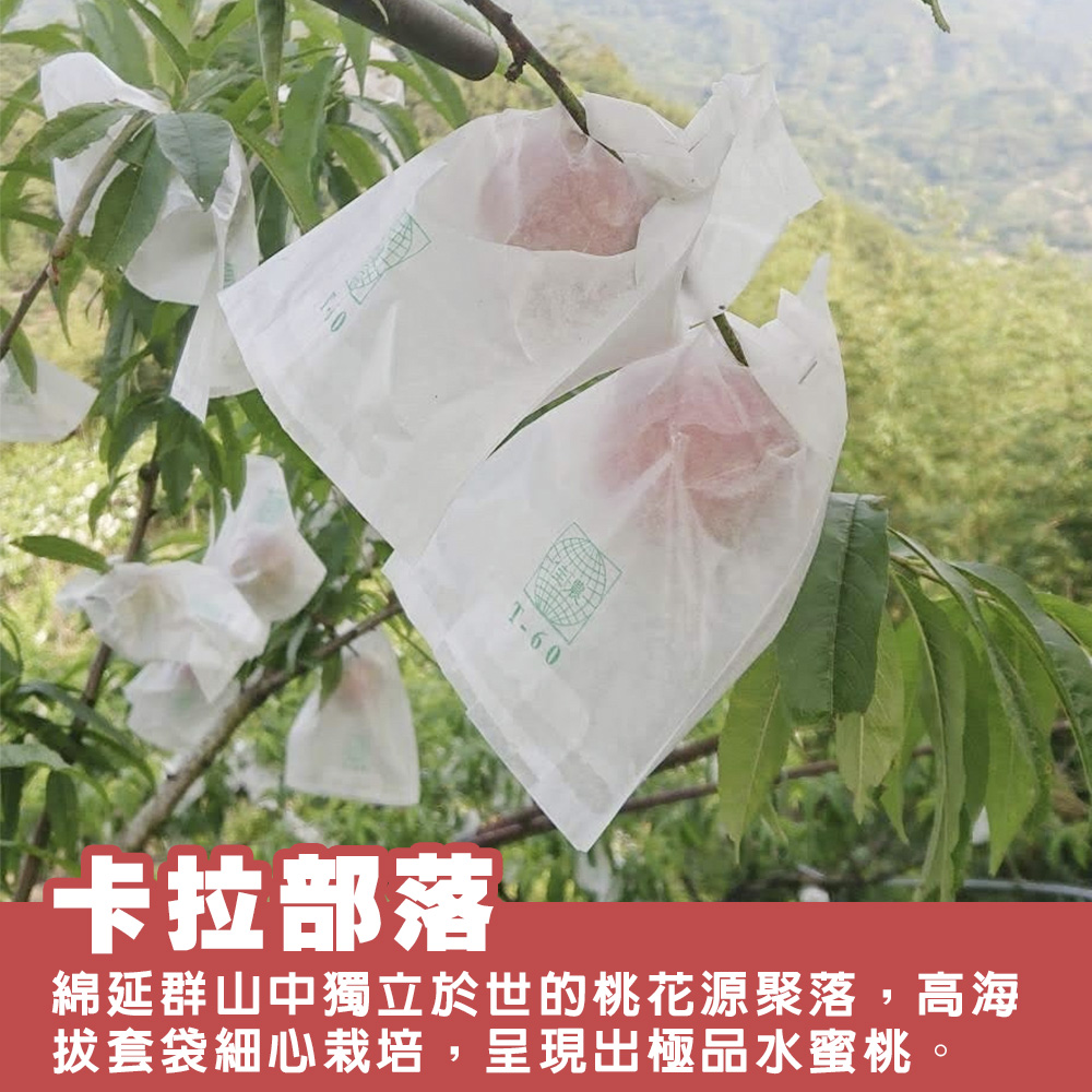卡拉部落拉拉山水蜜桃說明01
