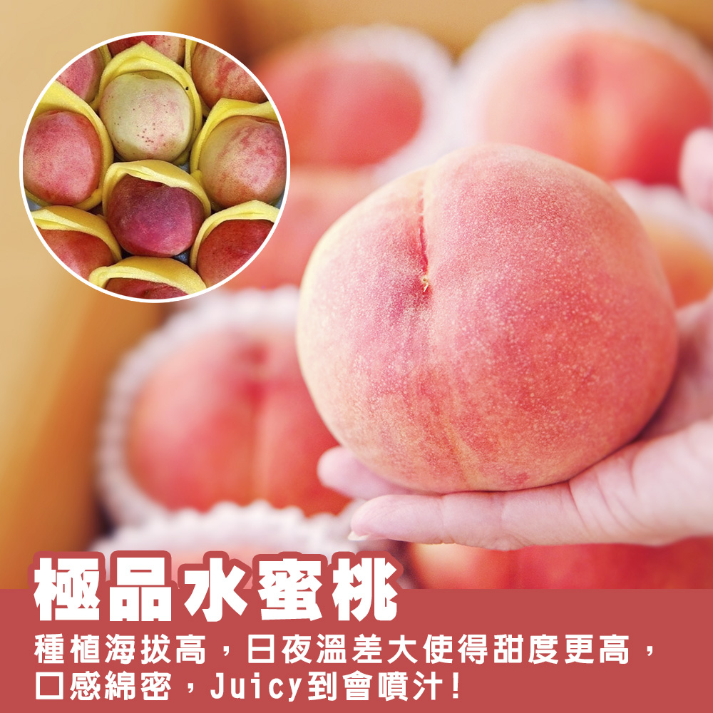 卡拉部落拉拉山水蜜桃說明04