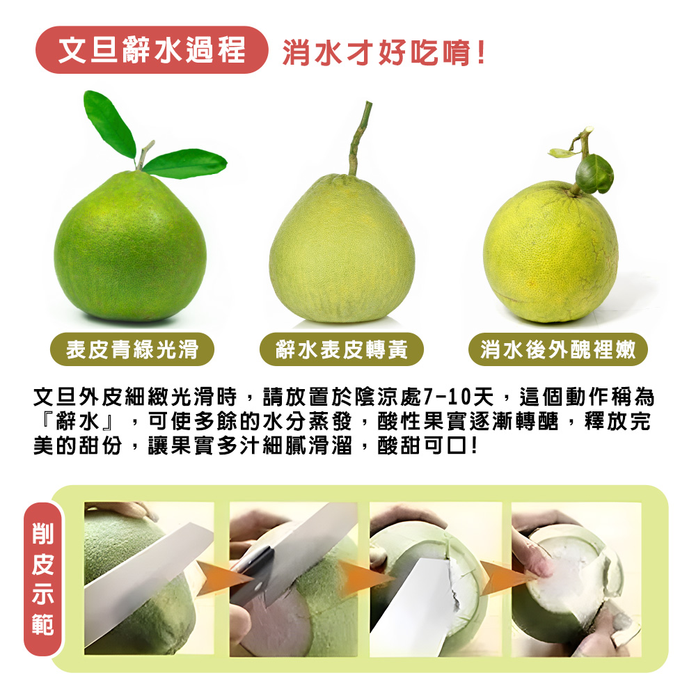 台灣麻豆紅文旦說明05