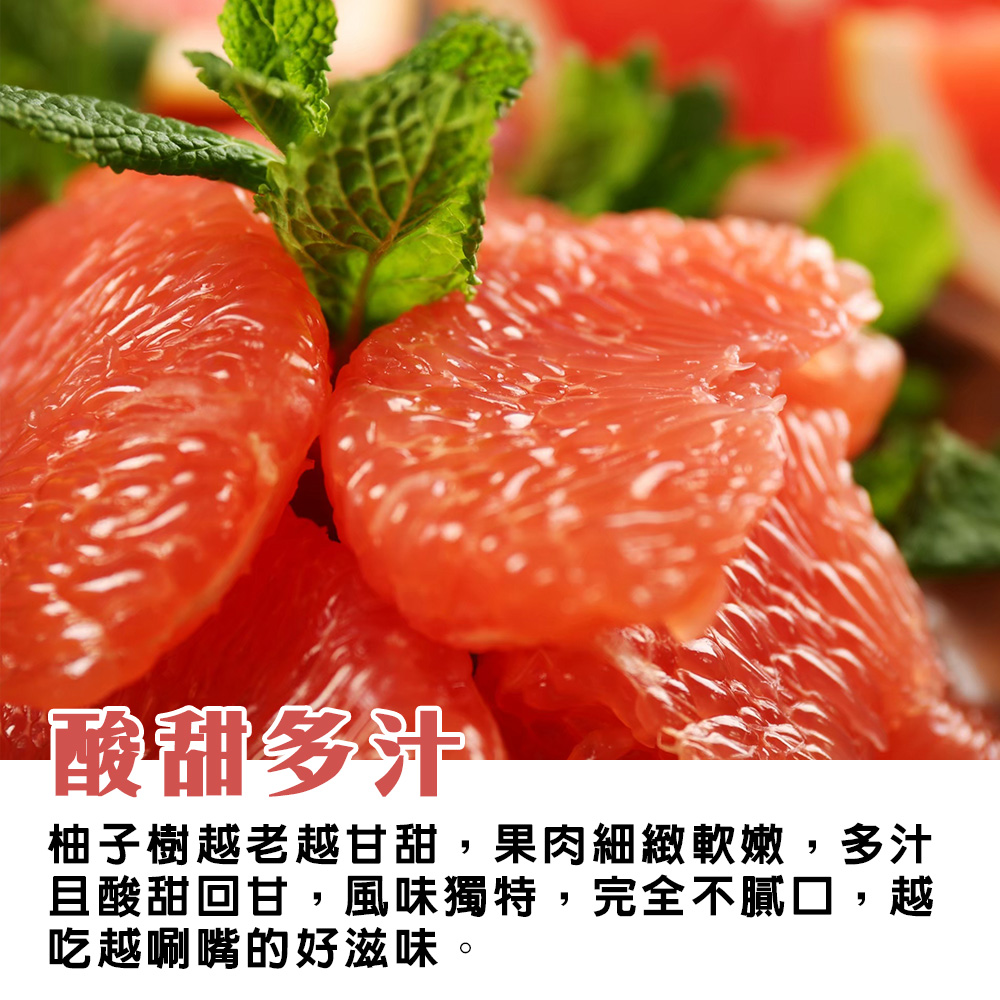 台灣麻豆紅文旦說明03