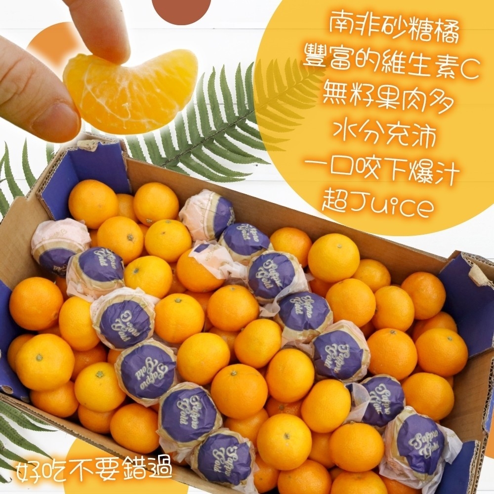 messageImage_1728040042091