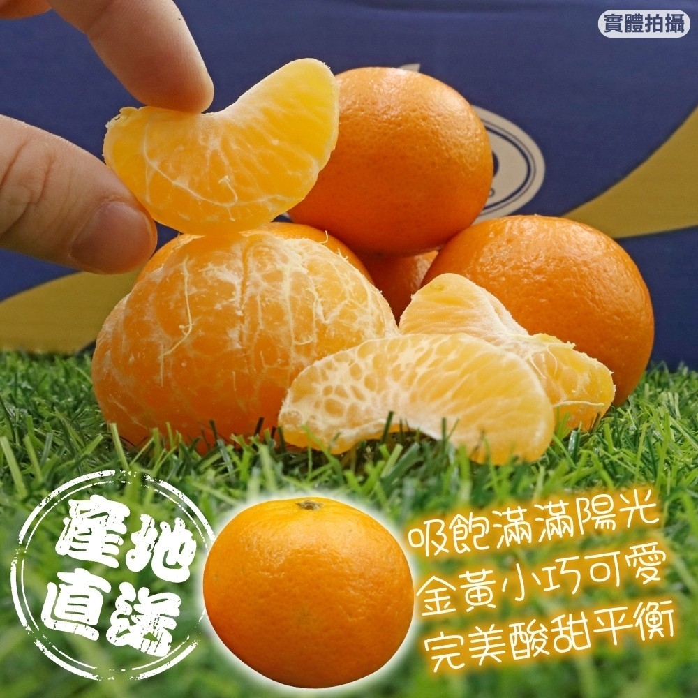 messageImage_1728040049378