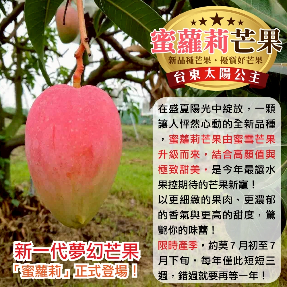 LINE_NOTE_250619_5