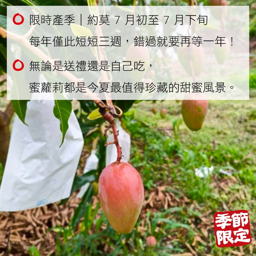 LINE_NOTE_250619_7