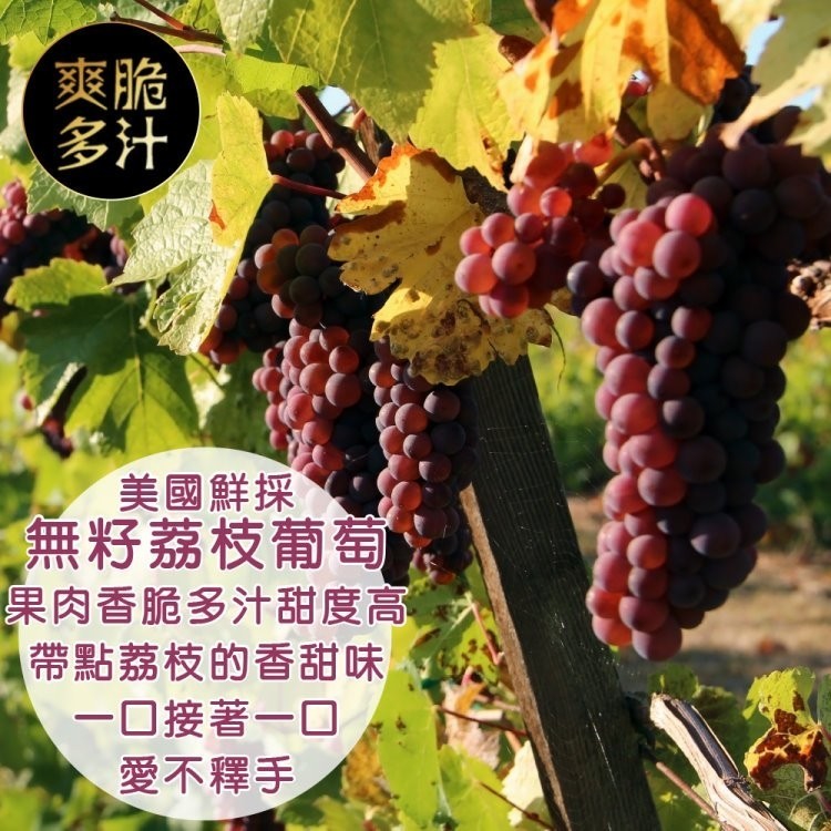 LINE_NOTE_250910_17