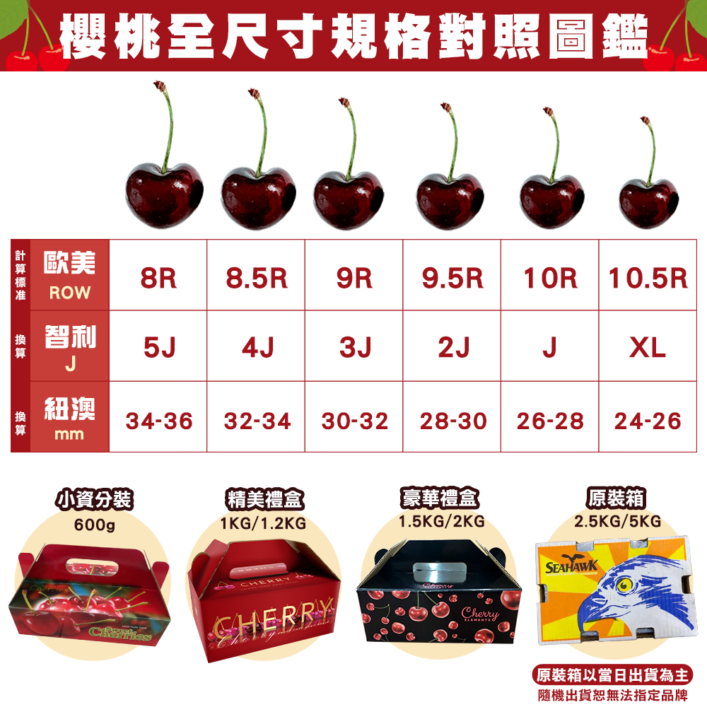 櫻桃全尺寸規格圖鑒1