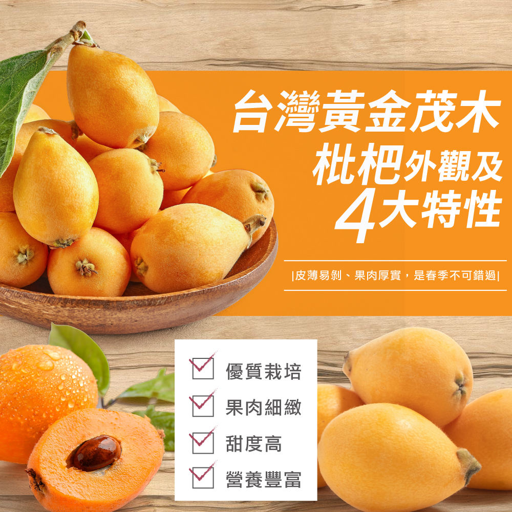 台灣黃金茂木枇杷-5_0