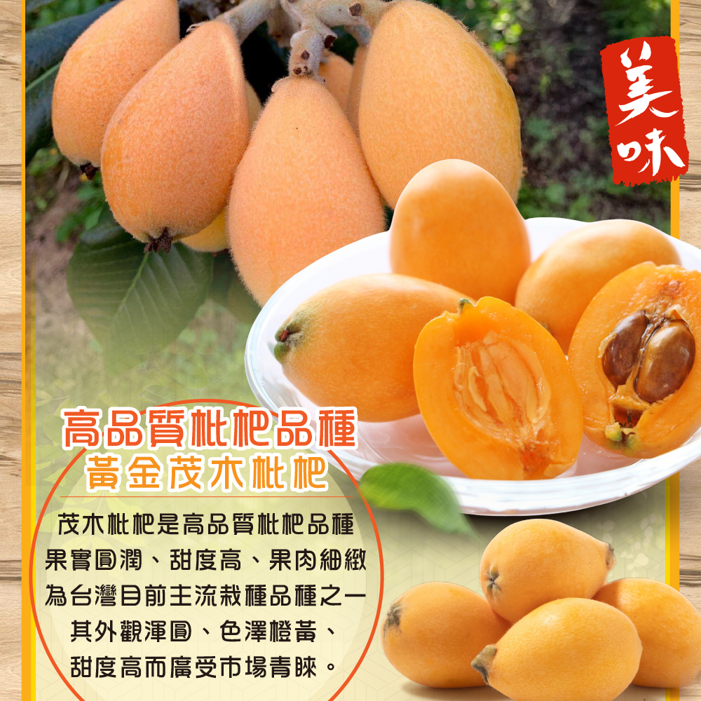 台灣黃金茂木枇杷-2_0