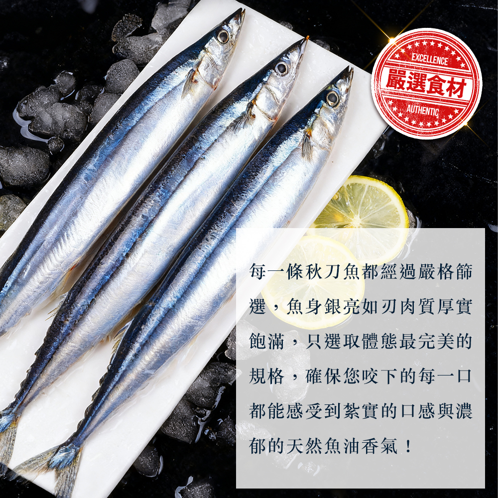 內文2