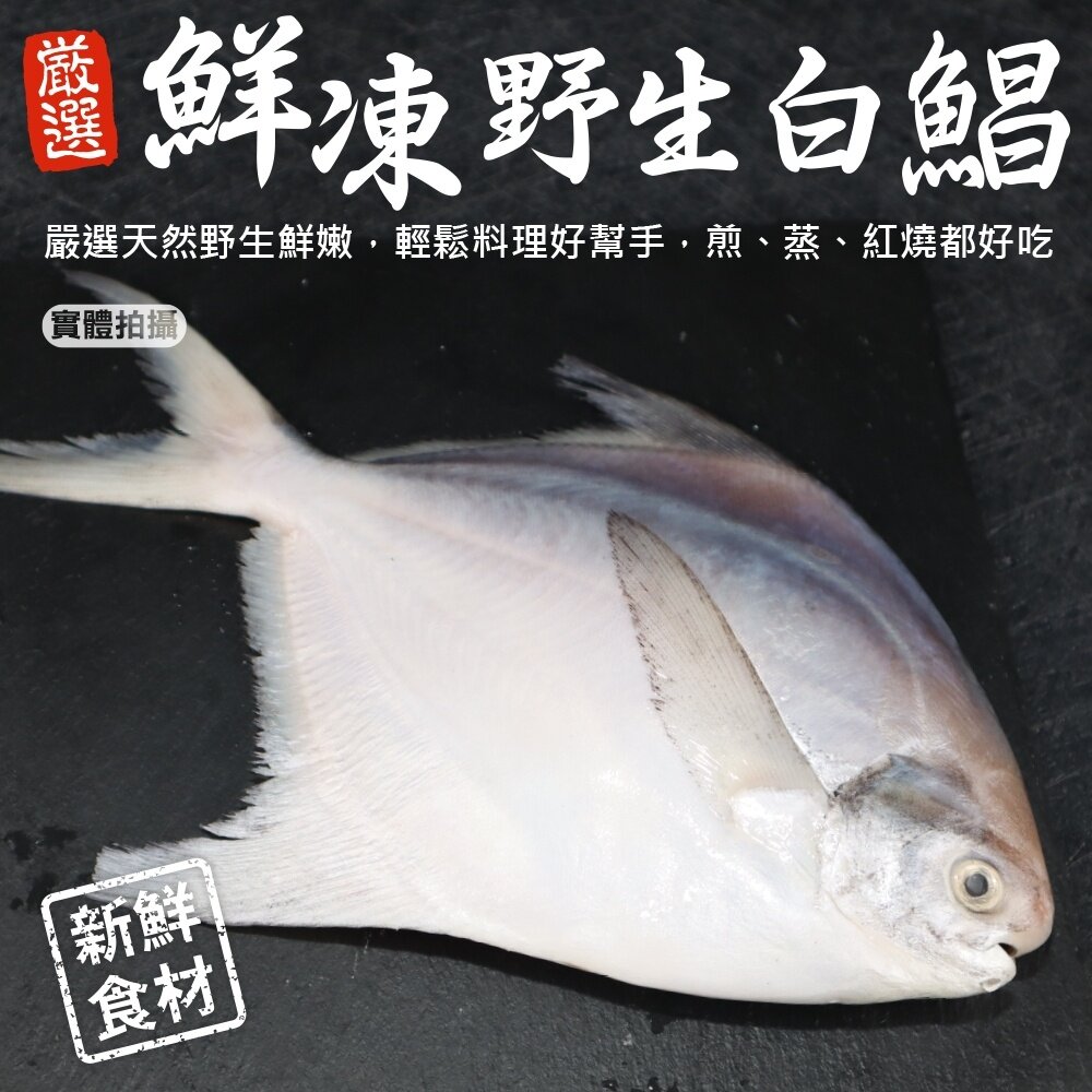 cover (6)