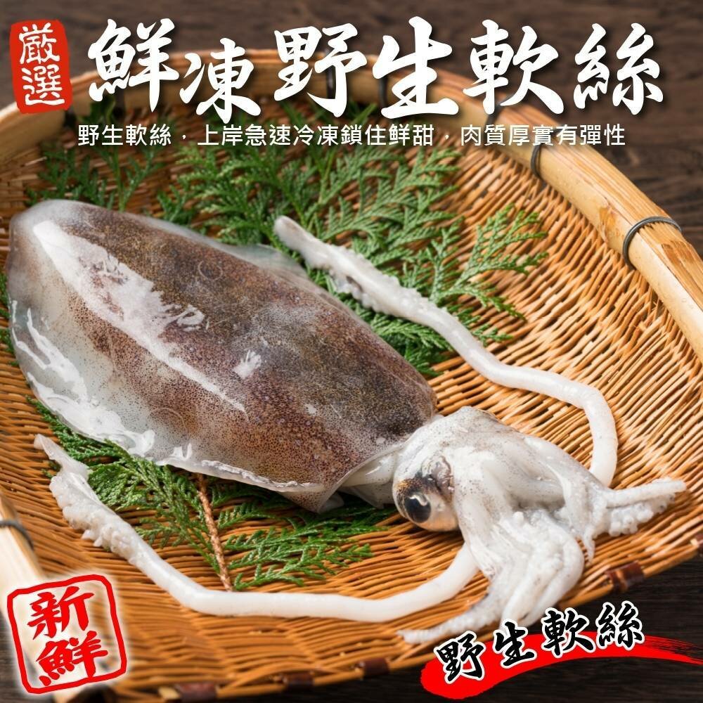 cover (5)