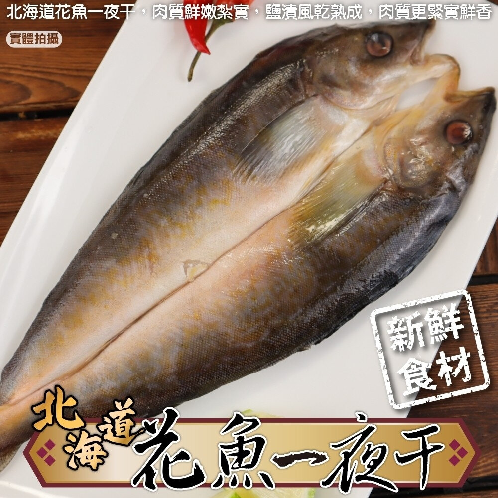 cover (10)