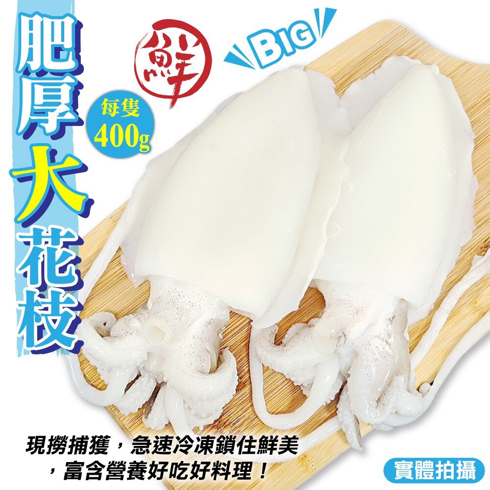 cover (2)
