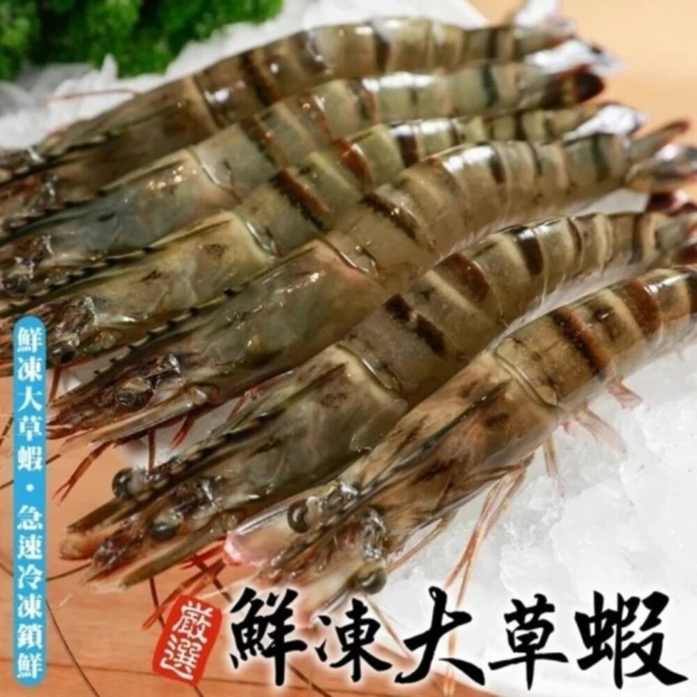 cover (3)