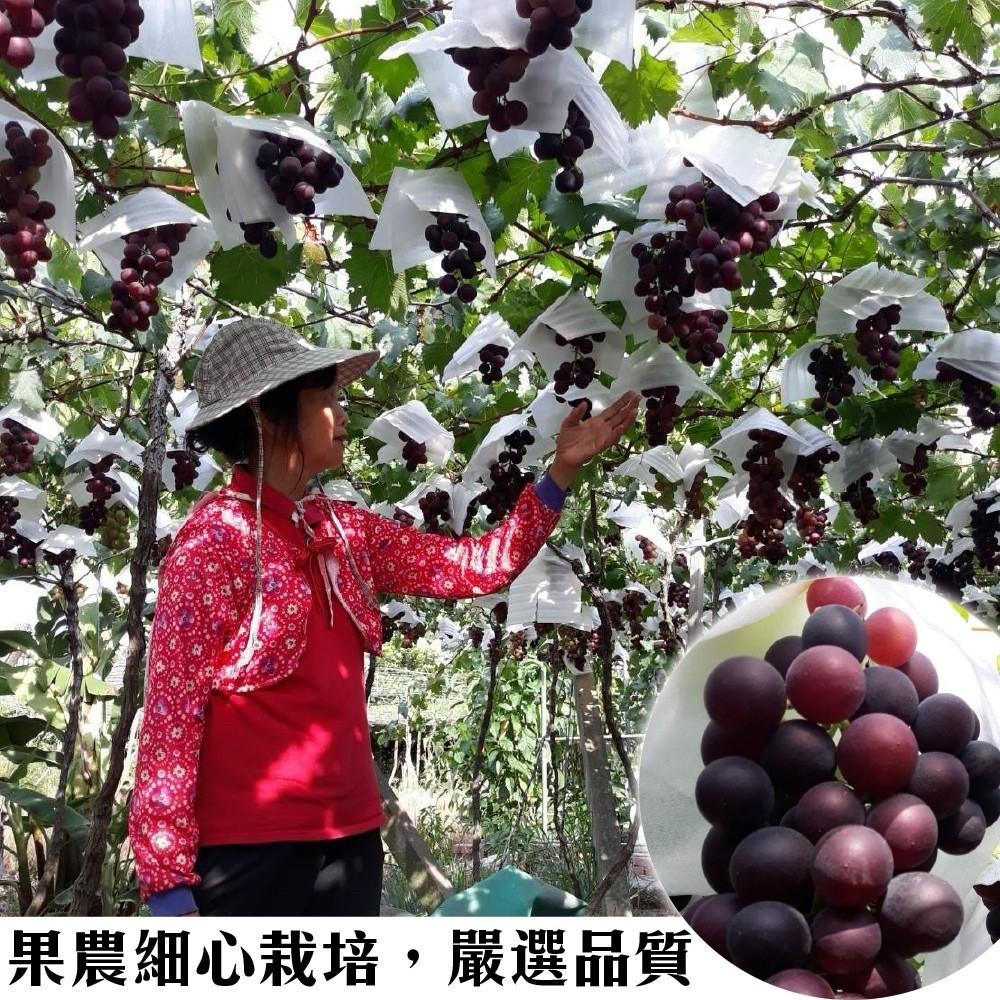 LINE_NOTE_260506_4