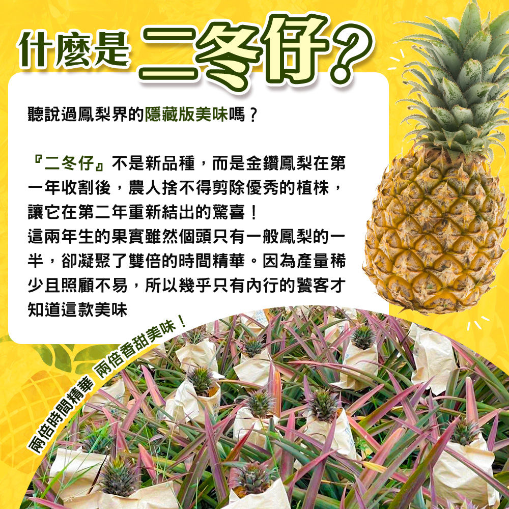 內文1