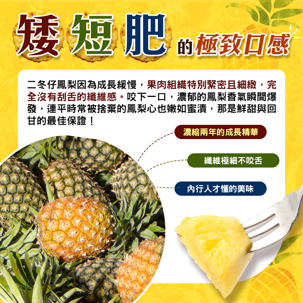 內文2