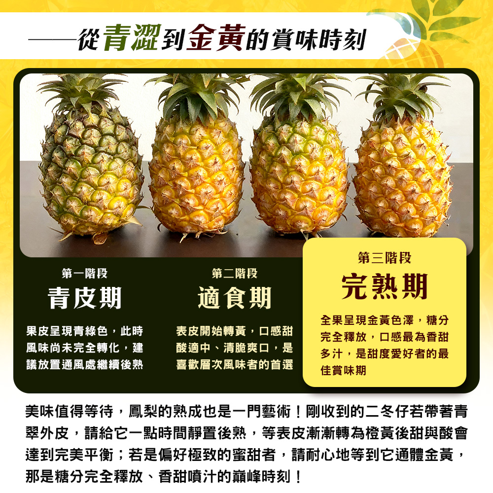 內文4
