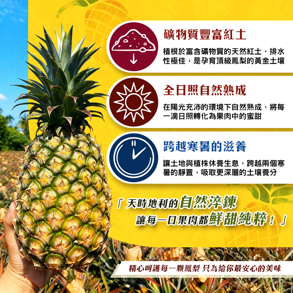 內文3