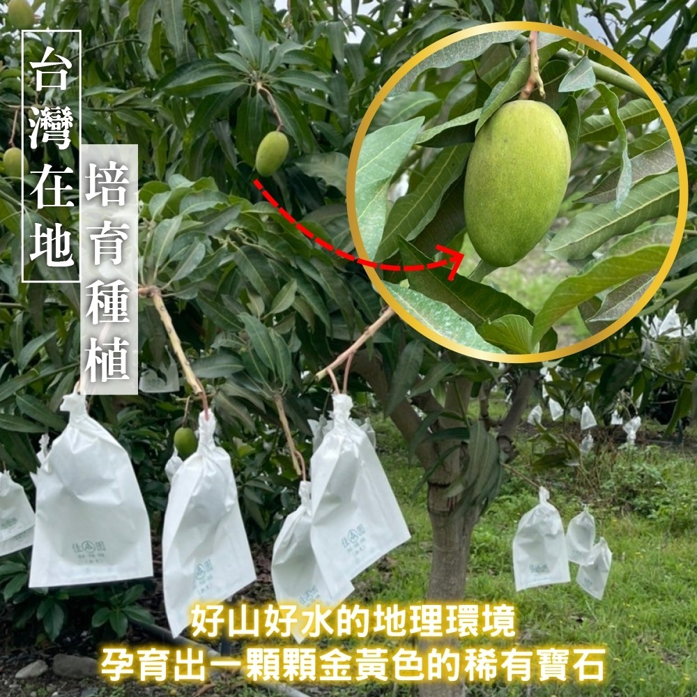 LINE_NOTE_260518_4