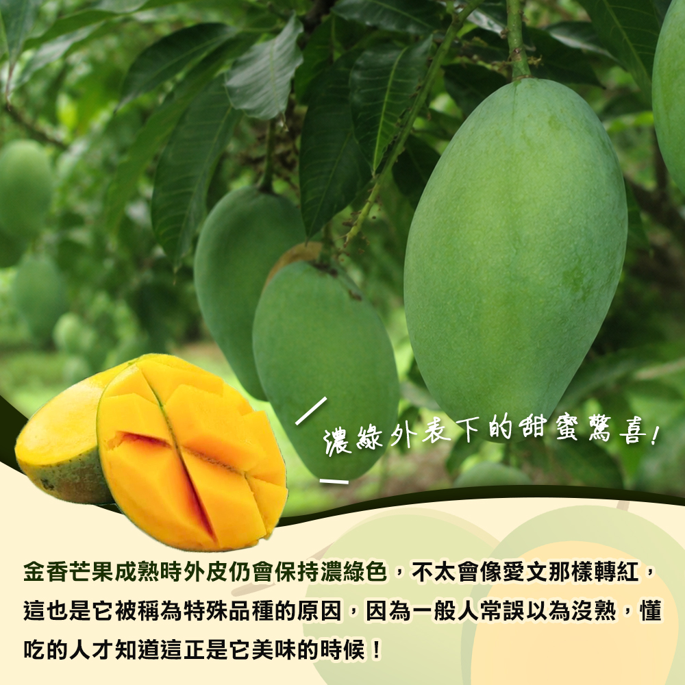 內文1