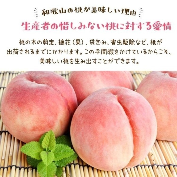 LINE_NOTE_260625_21
