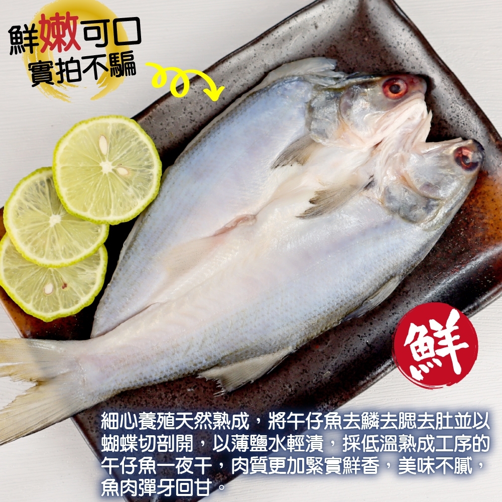 LINE_NOTE_260626_17