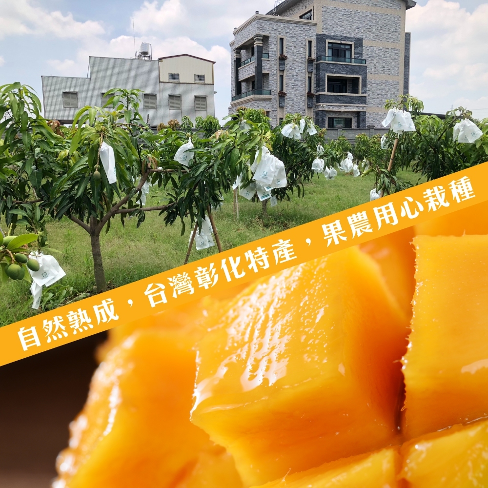 LINE_NOTE_260629_7