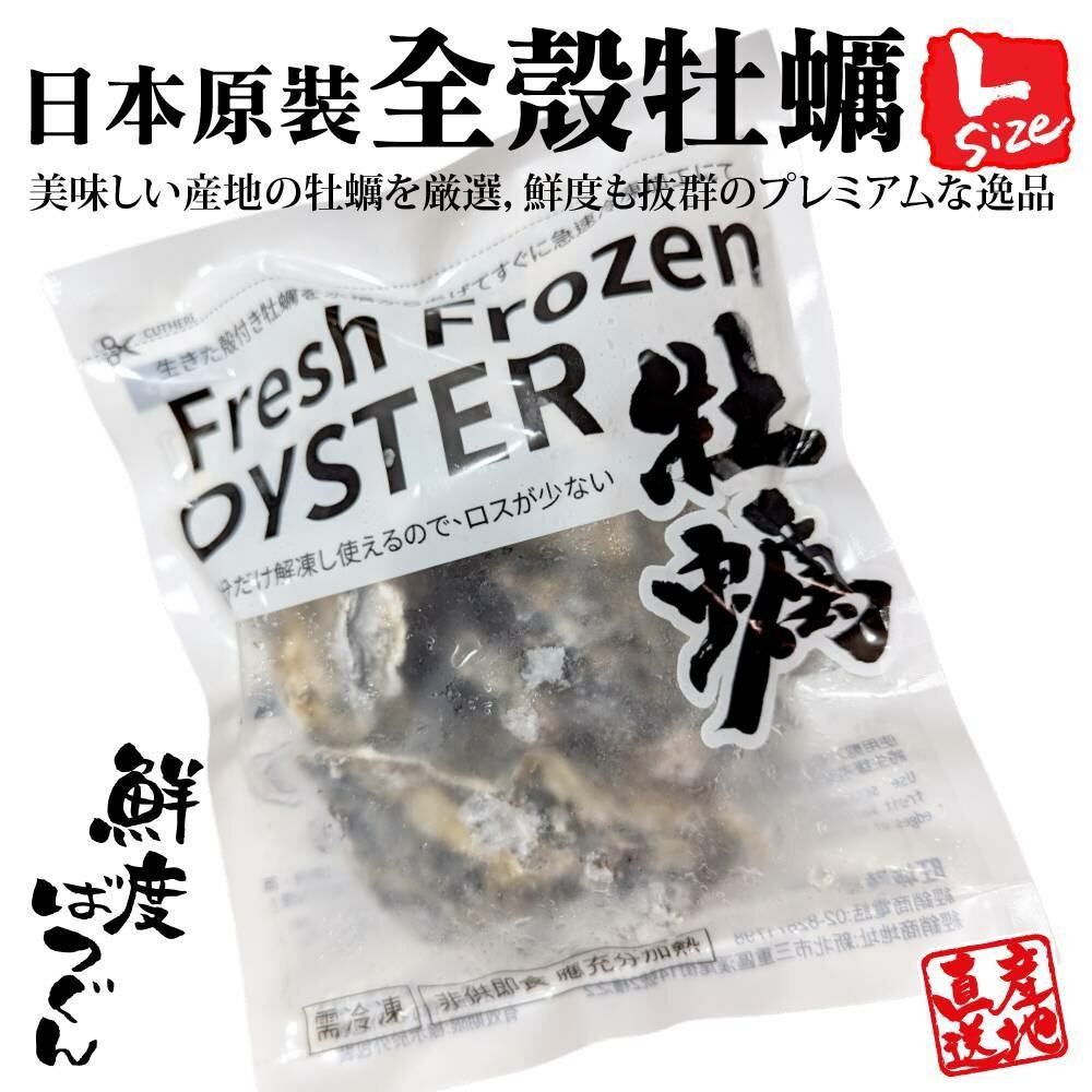 cover (2)