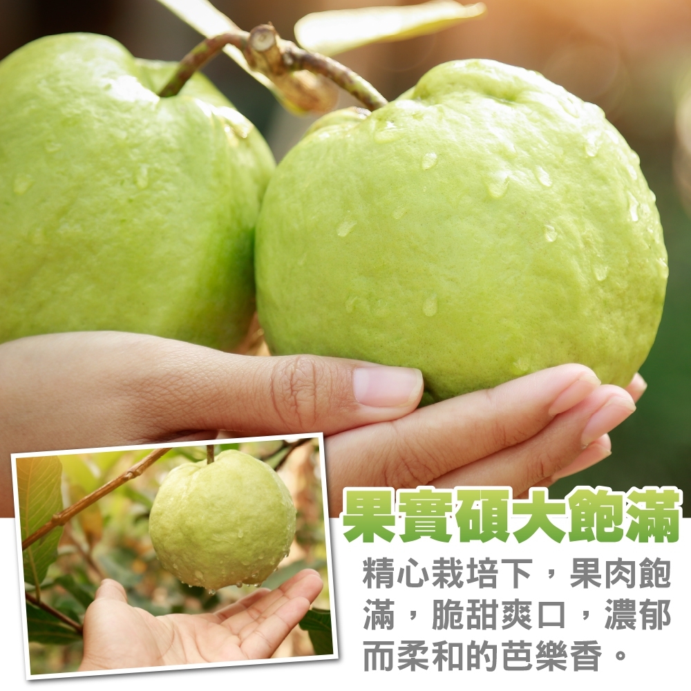 LINE_NOTE_260715_32